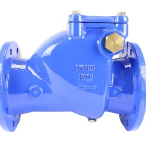 check valve